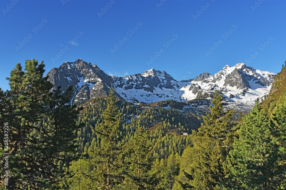 Beautiful alpine landscape with blue sky, forest and snow-covered mountains. Oetztal Alps, Tirol, Austria.