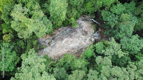 Rainforest and river aerial photo
