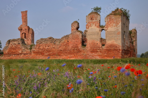 Malownicze ruiny średniowiecznego zamku na tle błękitnego nieba, na pierwszym planie, rozmyte, polne, kolorowe kwiaty, poruszane przez wiatr