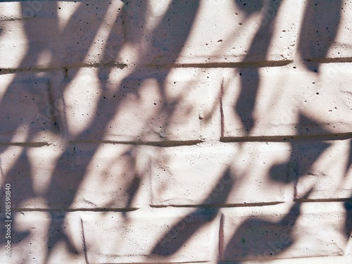 Texture of a light brick wall with shadows from trees photo