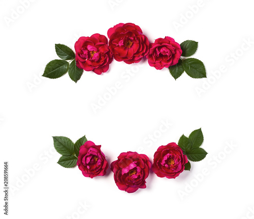 Floral frame wreath made of pink rose flowers and leaves isolated on white background. Flat lay. Top view.