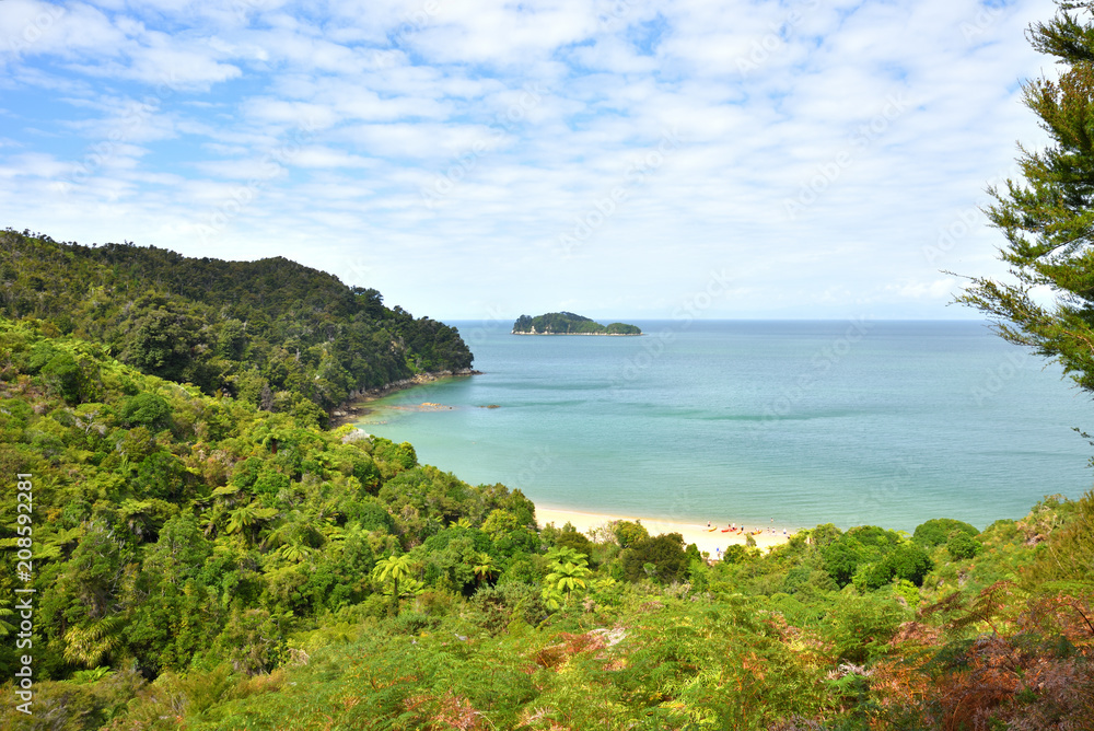 Obraz premium Abel-Tasman-Nationalpark Wald und Strand am Meer