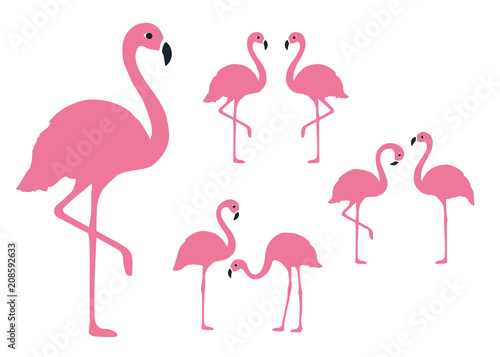 Flamingo Set. Isolated. Vector.