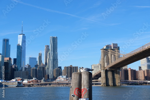 Brooklyn bridge at winter