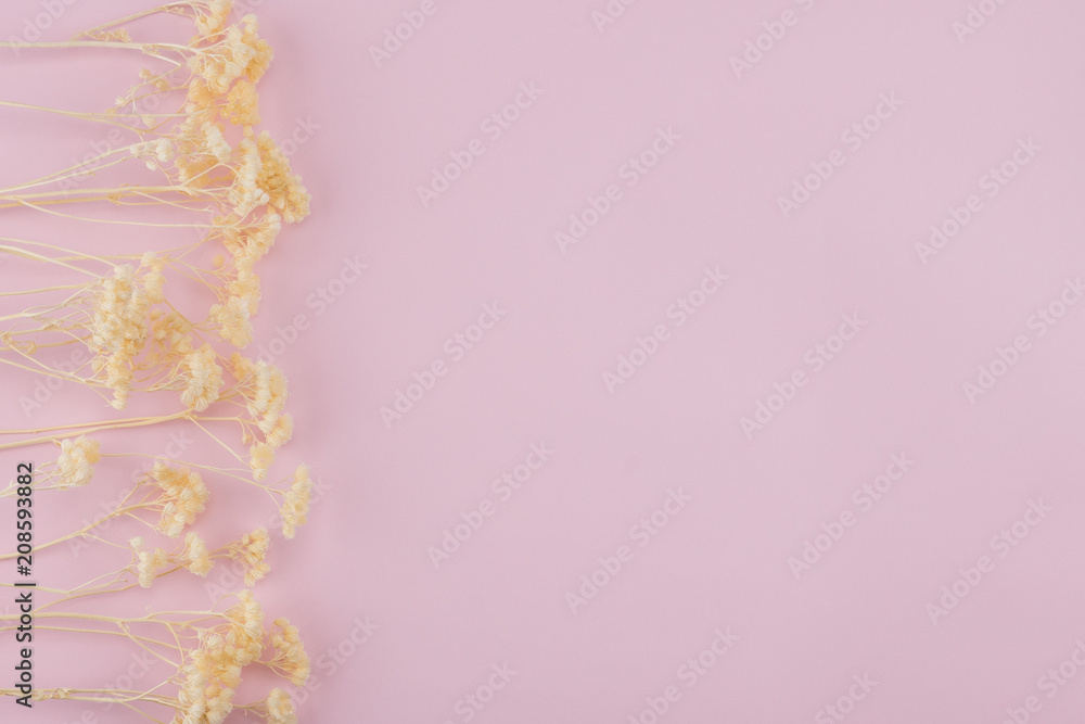 White dried flowers on pastel pink background with copy space
