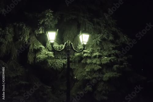 Светящийся фонарь в парке