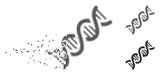 Gray vector DNA spiral icon in dissolved, pixelated halftone and undamaged solid versions. Disappearing effect involves rectangular particles. Points are combined into dissipated DNA spiral shape.
