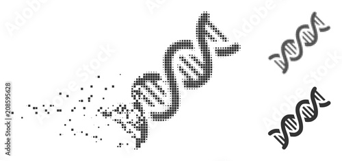 Gray vector DNA spiral icon in dissolved, pixelated halftone and undamaged solid versions. Disappearing effect involves rectangular particles. Points are combined into dissipated DNA spiral shape.
