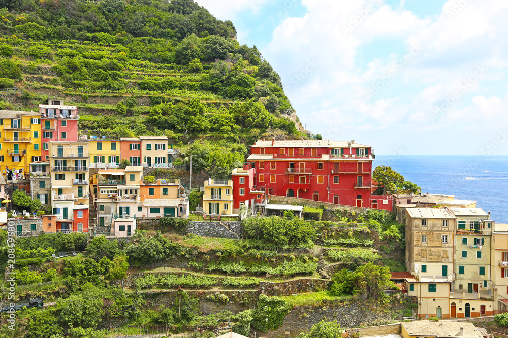 landscape of Manarola village Cinque Terre Italy - one of the five famous colorful villages in Italy
