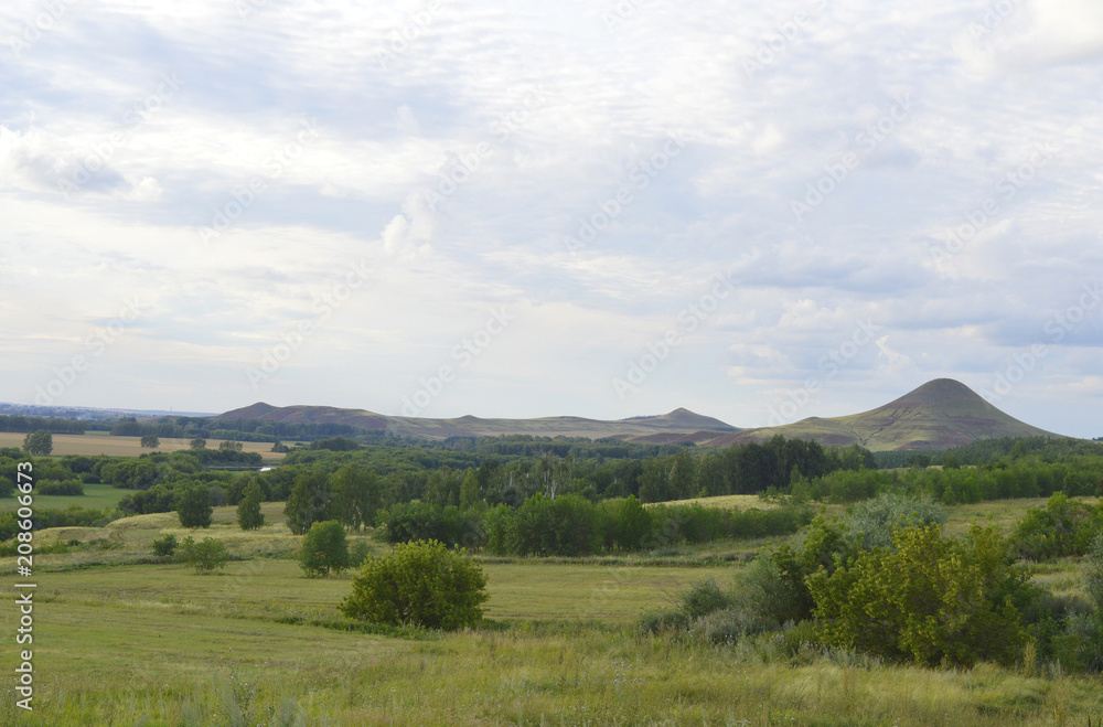 Fototapeta premium Summer landscape