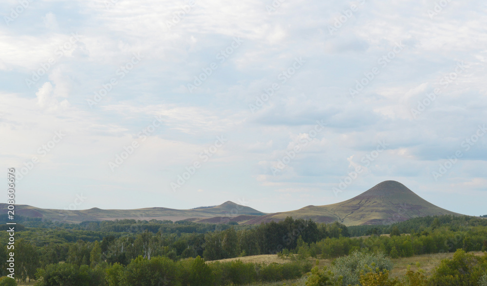 Summer landscape