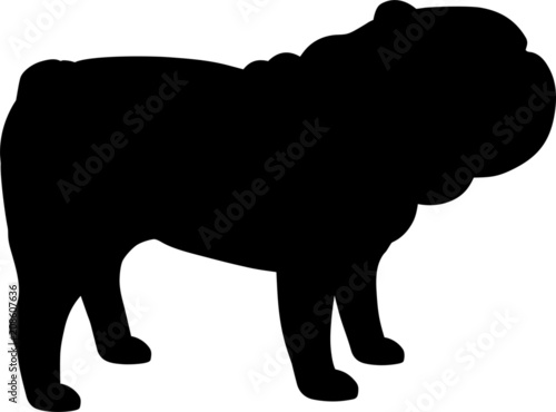 British Bulldog