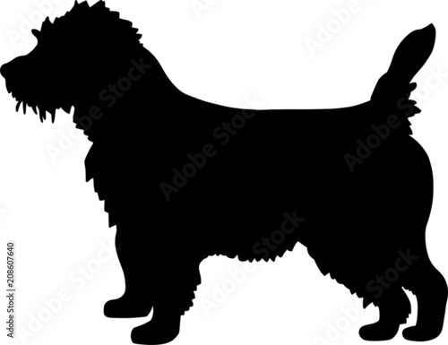 Carin Dog