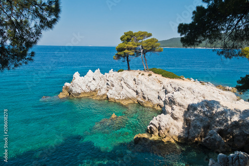 Photography Pine tree on a rock over crystal clear turquoise water, Cape Amarandos at Skopel