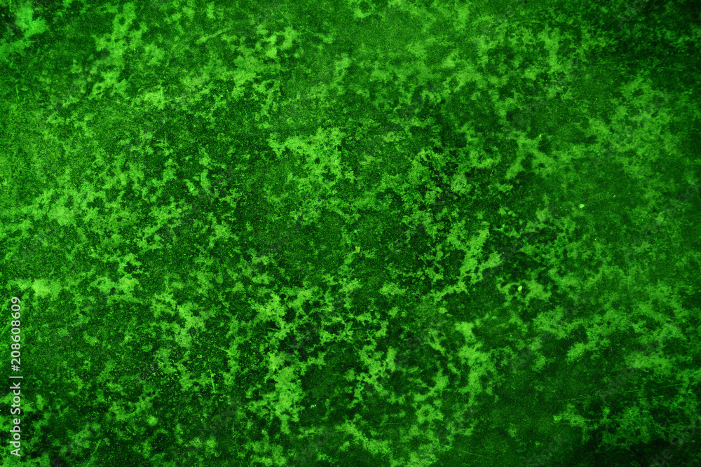 Fototapeta premium Green Texture Surface Background