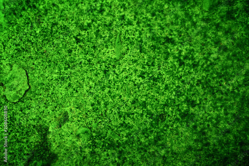 Green Texture Surface Background Green Texture Surface Background