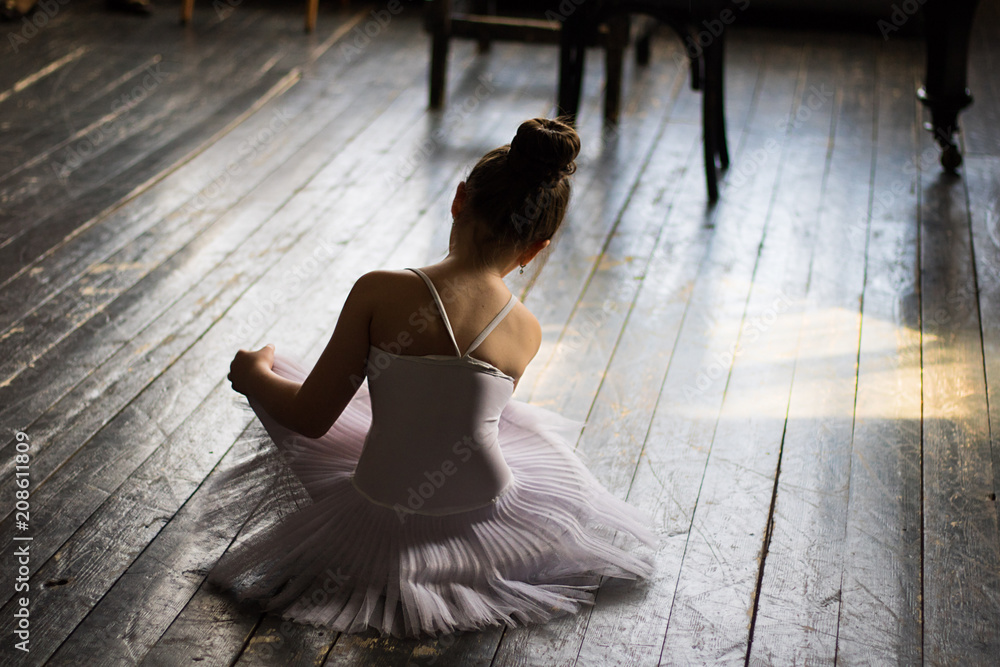 Fototapeta premium Ballet, dancer, girl, tutu, skirt, class, floor,