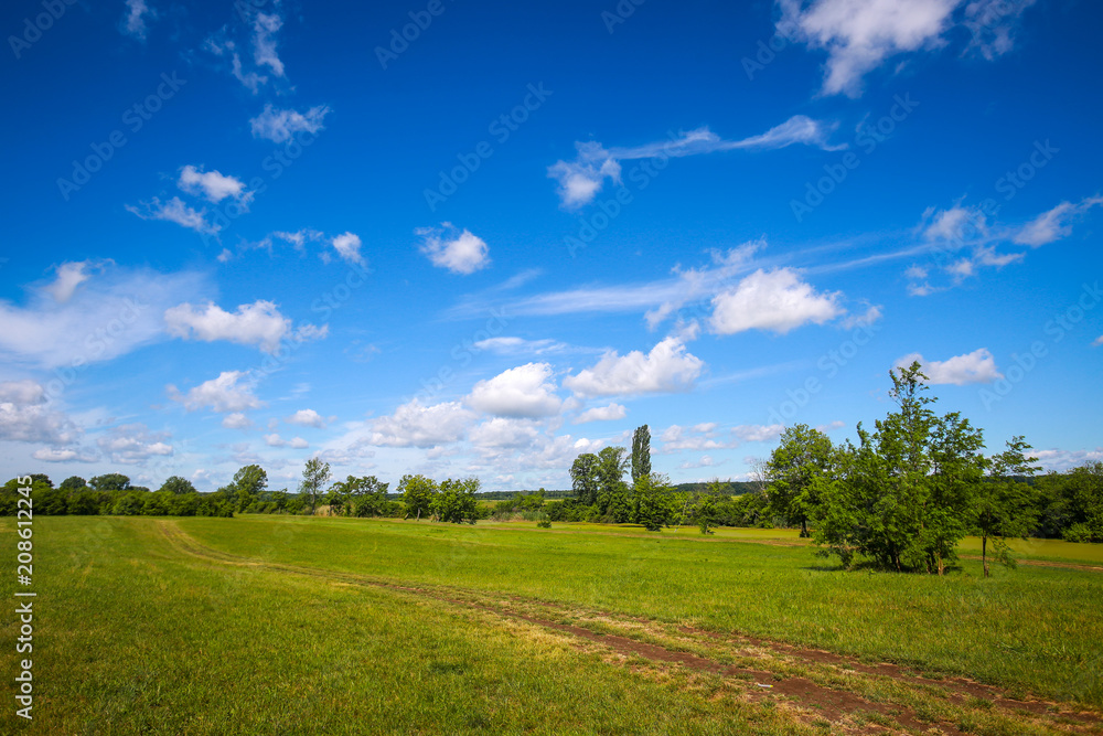 A pathway through the green meadow next to river Bosut near Vinkovci, Croatia. A pathway through the green meadow next to river Bosut near Vinkovci, Croatia.