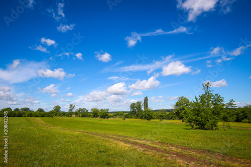 A pathway through the green meadow next to river Bosut near Vinkovci, Croatia. photo