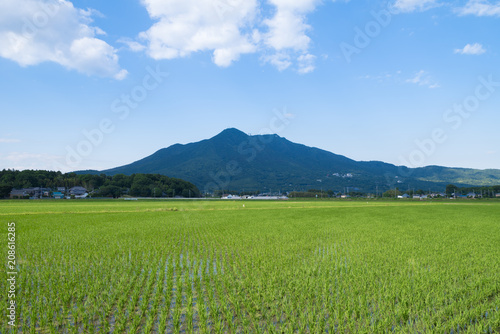 日本の田園風景