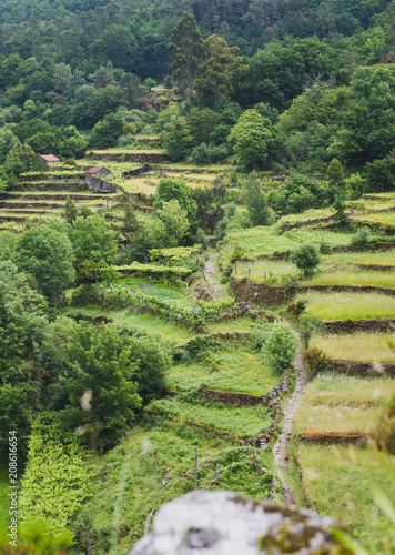 Aerial shot of the terrace fields at Sistelo, Portugal photo