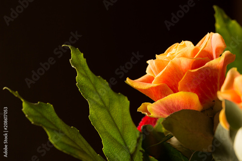 Red and orange roses bouquet