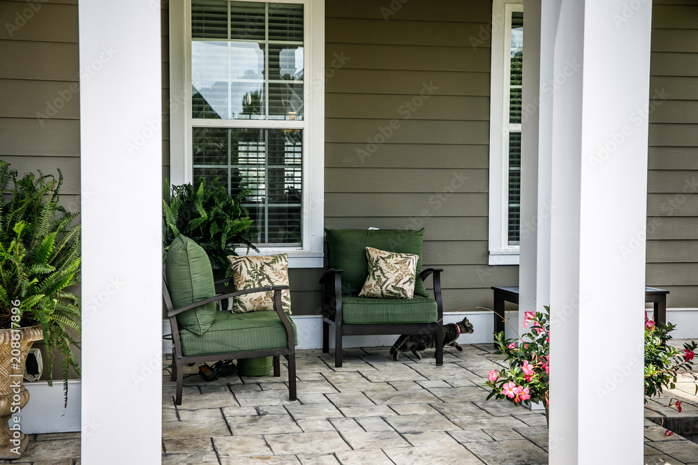 Traditional Outdoor Porch with Cat Traditional Outdoor Porch with Cat