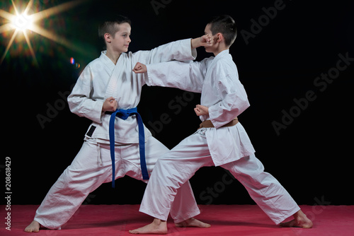 Children are training karate blows