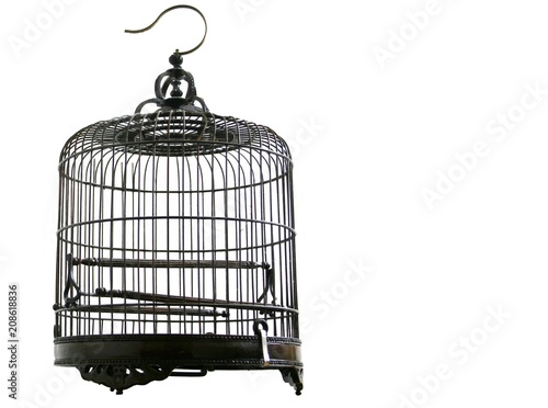 Fotografie, Tablou Empty metal birdcage with a white background.