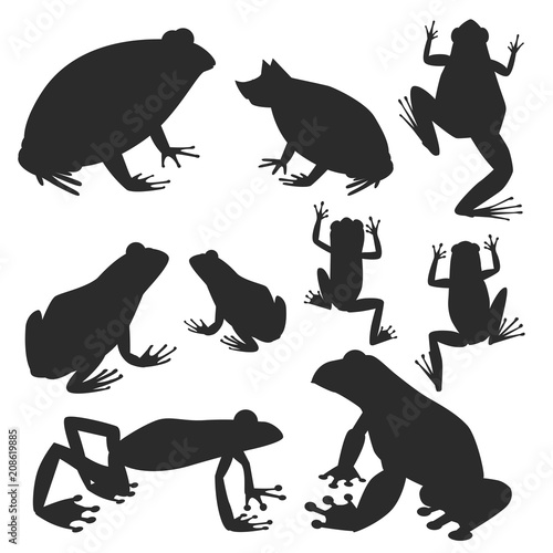 Frog vector silhouette cartoon tropical wildlife animal green froggy nature f...