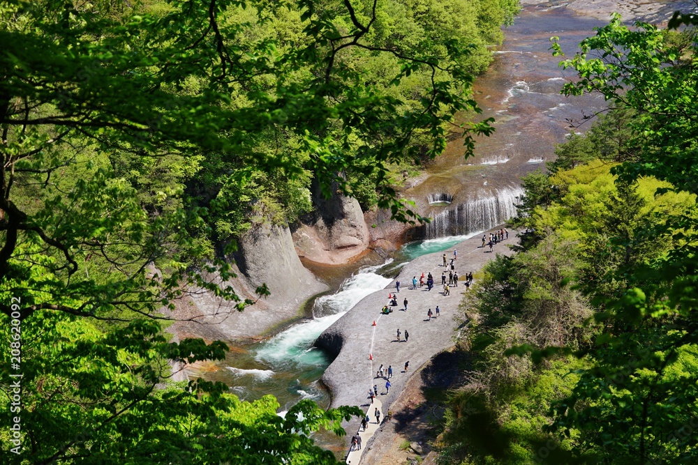 Fototapeta premium 吹割の滝