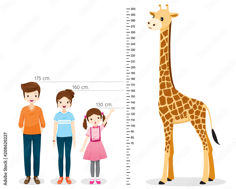Man, Woman, Girl Measuring Height With Giraffe, Tall, Healthy