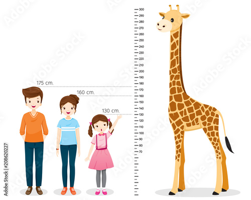 Man, Woman, Girl Measuring Height With Giraffe, Tall, Healthy, Care, People, Lifestyle