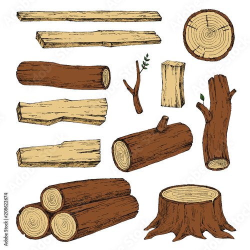 Wood, burning materials. Vector sketch illustration collection. Materials for wood industry. Stump, branch, timber. Tree lumber