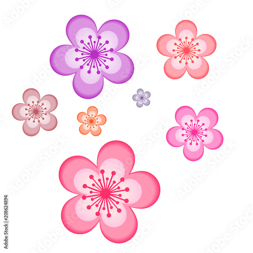 7 kinds of flowers with five petals of different colors