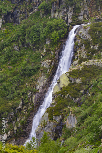 Shy waterfall surrounded by trees and rocks