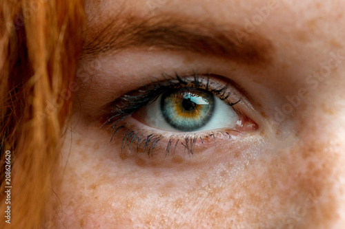 Close up of one eye of young red ginger freckled woman with perfect healthy freckled skin, looking at camera. Ophthalmology, Vision care
