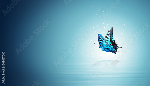 Wunderschöner Schmetterling