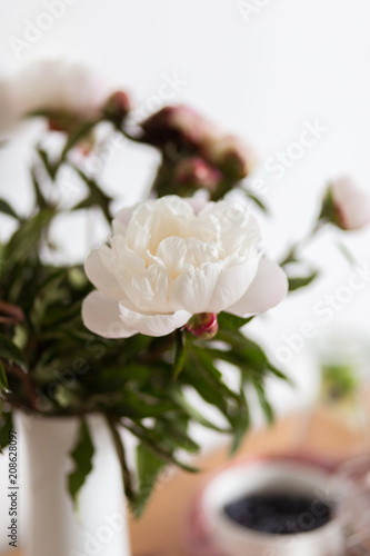 Pfingstrosen auf Frühstückstisch