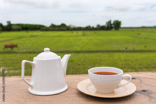 Hot lemon tea with pot on wooden table near rice field