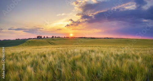 sunset over the spring field