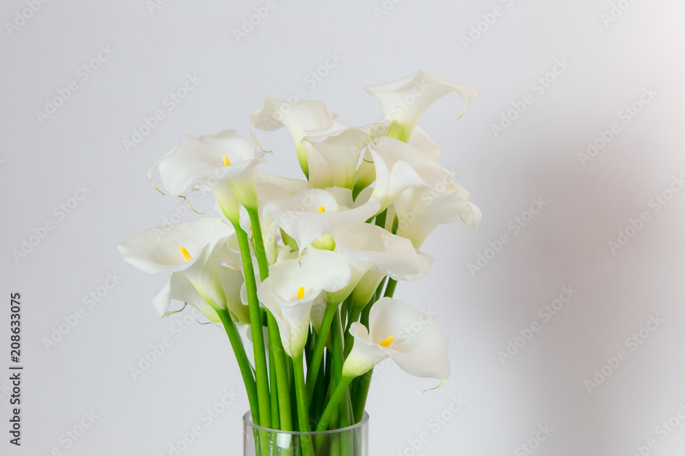 beautiful flower bouquet of calla