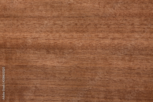 Contrast brown wooden veneer texture for your design.