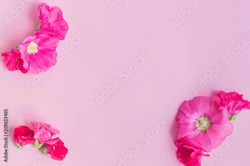Flat lay frame of pink flowers