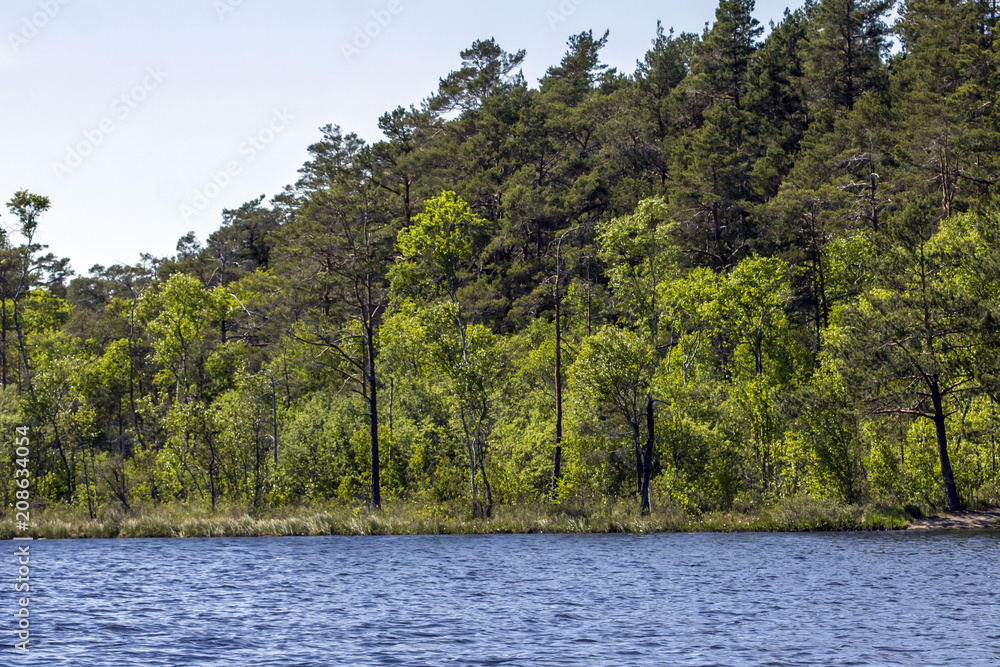 Lakeside in the Tyresta By National Park in Sweden Lakeside in the Tyresta By National Park in Sweden