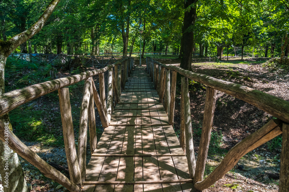 Zeda-gordi, Georgia. View Of Paved Forest Path and wooden bridge Leading To Canyon Okatse Zeda-gordi, Georgia. View Of Paved Forest Path and wooden bridge Leading To Canyon Okatse