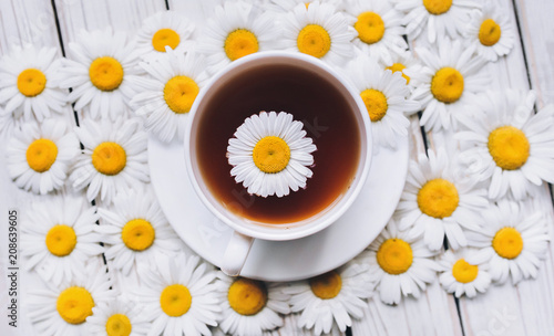 Cup of beauty chamomile tea with fresh daisies. White fresh flowers on a gray wooden background. Top view, close up.