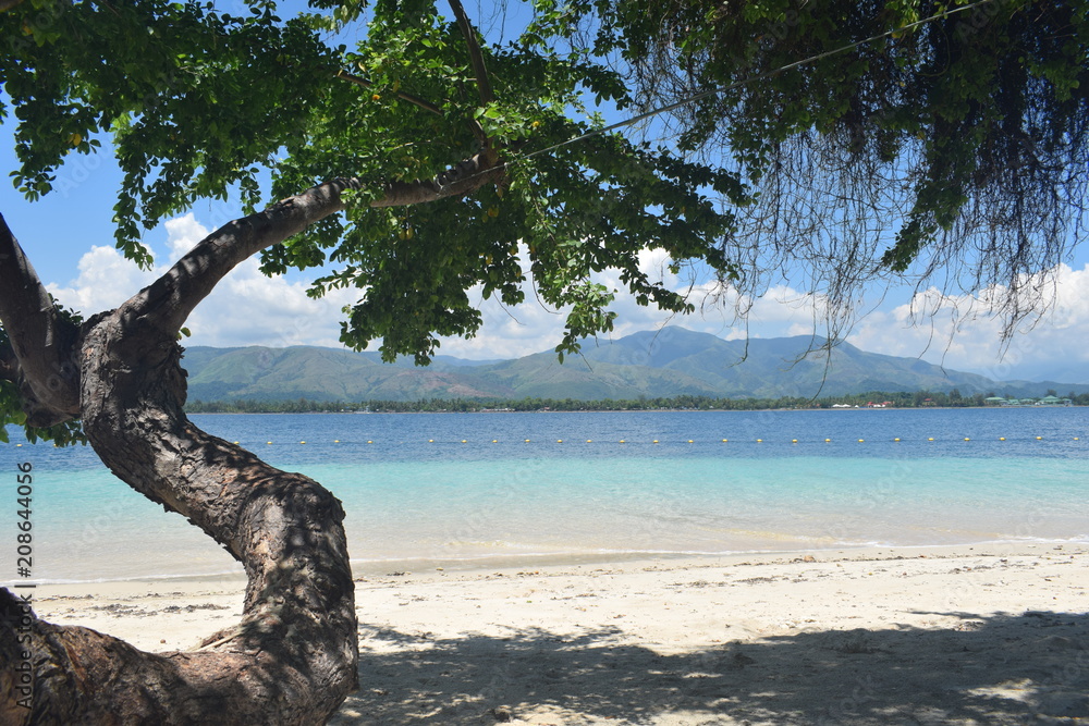Philippines Zambales Island Beach Summer Sand Tree Foliage Mountain Sea Sky Background