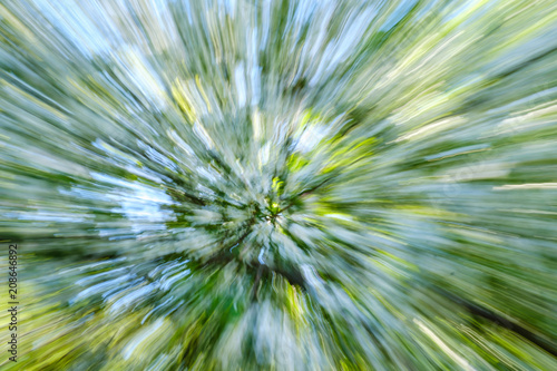 Abstract bloom flower of tree in countryside. Created by zooming out while closing shutter. Zoom blossom speed blured motion.