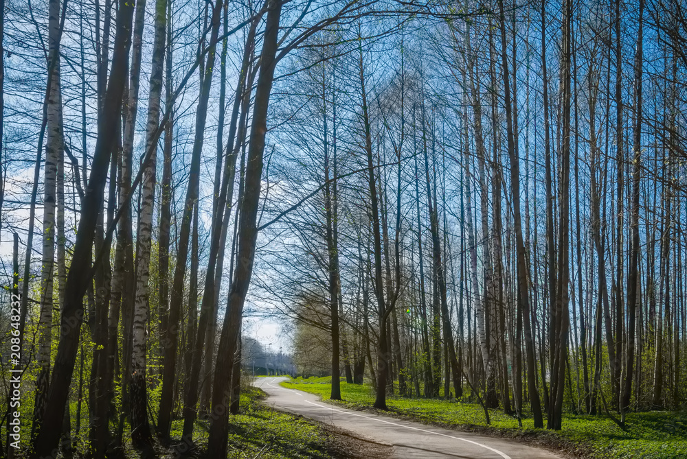 pedestrian and bicycle path from Riga to Jurmala